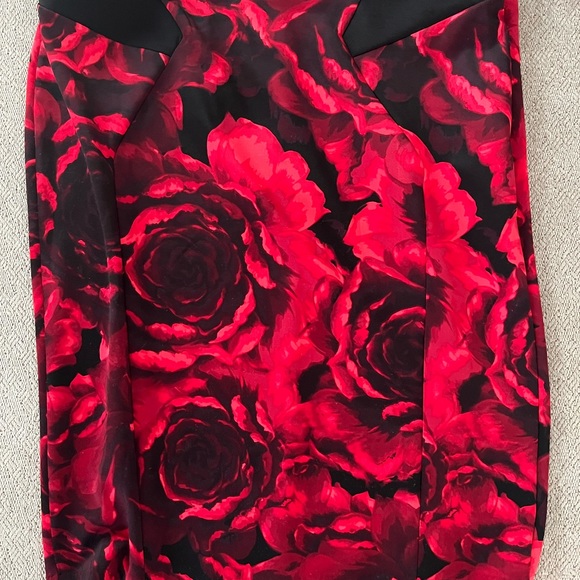 Bayou Bisou Skirt and top set Sz XL - Picture 5 of 7